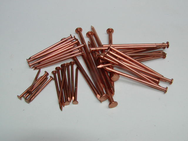 Image result for copper nails